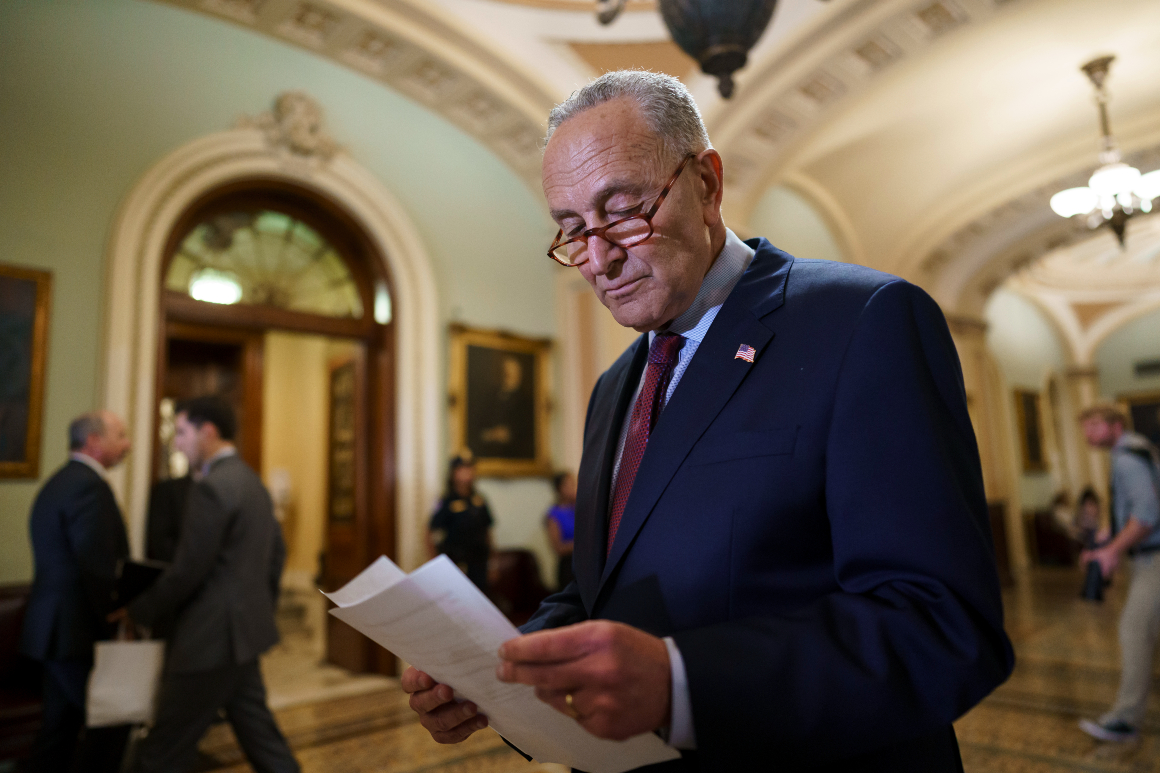 Dentro de la apuesta por la infraestructura de Schumer - POLITICO