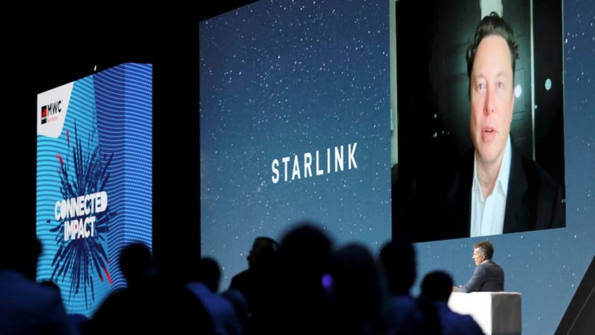 India le dice al público que evite Starlink respaldado por Musk hasta que obtenga la licencia