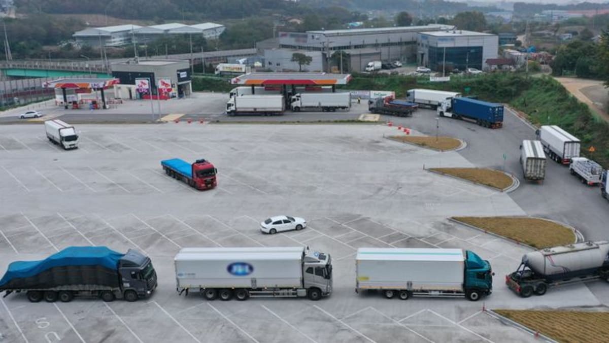 Los conductores surcoreanos entran en pánico por comprar urea después de que China reduzca el suministro