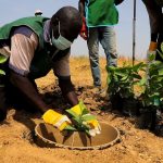 Lucha contra la desertificación en Camerún: refugiados al rescate