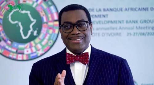 Ningún negocio puede sobrevivir en Nigeria sin generadores - Presidente del Banco Africano, Adesina