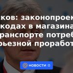 Peskov: el proyecto de ley sobre los códigos QR en las tiendas y el transporte requerirá un estudio serio