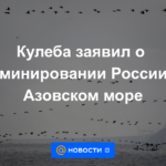 Kuleba anunció el dominio de Rusia en el Mar de Azov