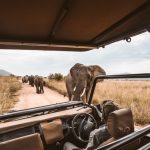 La variante COVID Omicron deja en ruinas a la industria del turismo de safari en SA