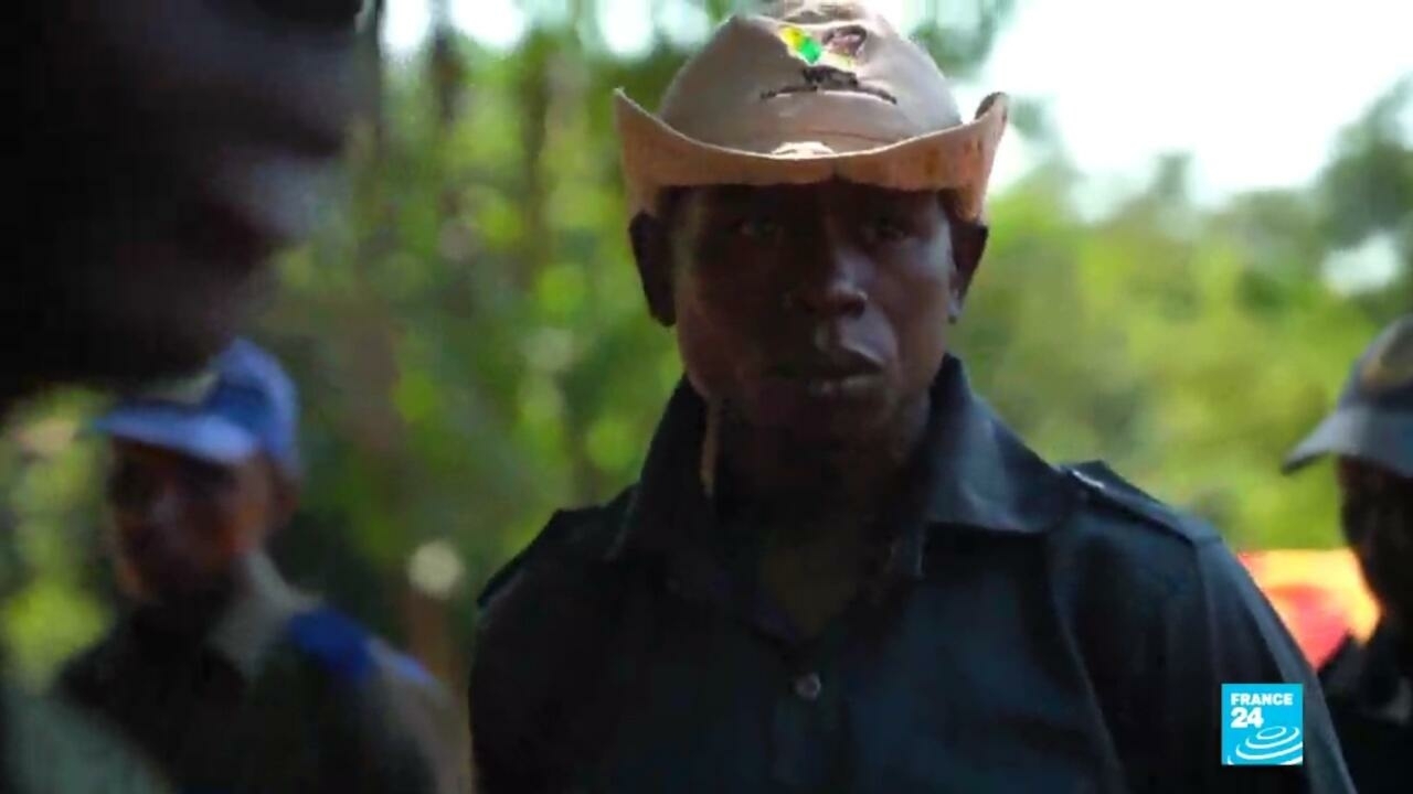 Los guardabosques de la República Centroafricana dan a la vida silvestre una oportunidad de luchar