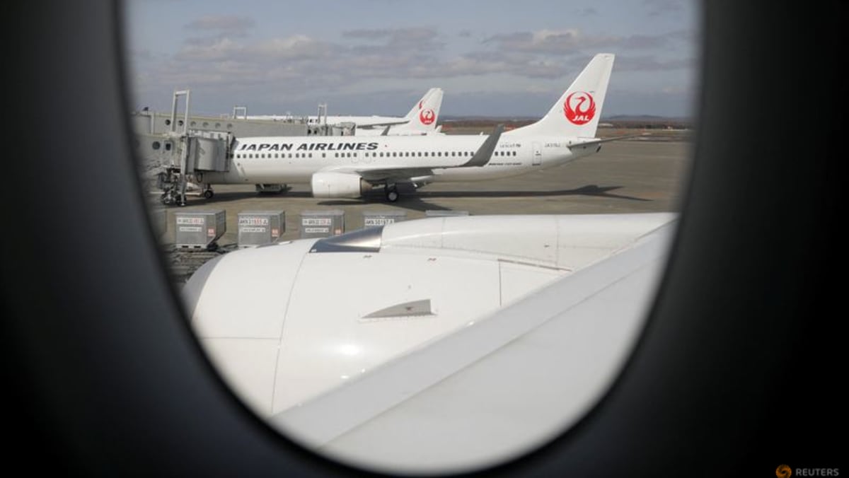 Más de 100 vuelos a Japón cancelados debido a fuertes nevadas