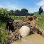 Agricultores de KZN gravemente afectados por las inundaciones, desesperados por ayuda