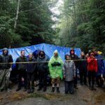 Manifestantes en un campamento en la isla de Vancouver para hacer campaña contra la tala de árboles viejos