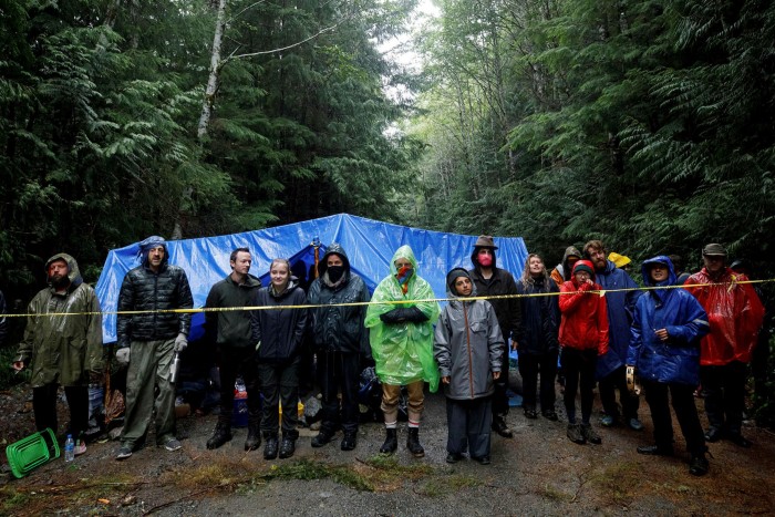 Manifestantes en un campamento en la isla de Vancouver para hacer campaña contra la tala de árboles viejos