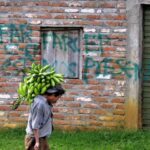 Las comunidades indígenas locales se encuentran entre las más afectadas por los tiroteos por el control de actividades ilegales (Foto EFE)