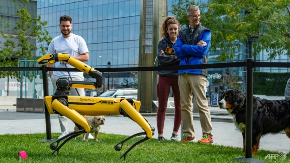 Lo más destacado del espectáculo CES: perros robot, barco de vela, tecnología cerebral