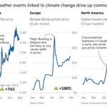 Los fenómenos meteorológicos extremos relacionados con el cambio climático hacen subir los precios de las materias primas.  Gráficos que muestran que el precio del guisante amarillo de Saskatchewan (C $ por bushel) aumentó un 85% en 2021 El precio de la papa Bintje belga ($ por tonelada) aumentó un 180% en 2021 El precio del café arábica ICE ($ por libra) aumentó un 76% en 2021 Las heladas severas afectan la cosecha de café En julio, los precios suben y continúan subiendo en el cuarto trimestre Las grandes inundaciones en Bélgica y Alemania en julio provocan un aumento en los precios de la papa Una ola de calor sin precedentes en Canadá a principios de julio hace que los precios de los guisantes se disparen