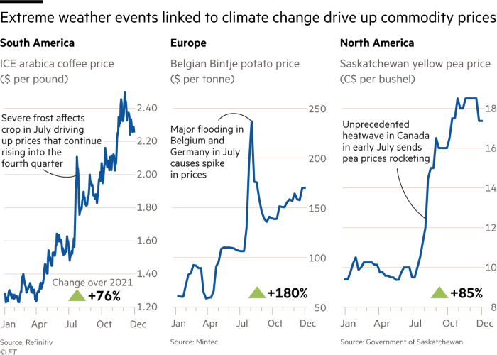 Los fenómenos meteorológicos extremos relacionados con el cambio climático hacen subir los precios de las materias primas.  Gráficos que muestran que el precio del guisante amarillo de Saskatchewan (C $ por bushel) aumentó un 85% en 2021 El precio de la papa Bintje belga ($ por tonelada) aumentó un 180% en 2021 El precio del café arábica ICE ($ por libra) aumentó un 76% en 2021 Las heladas severas afectan la cosecha de café En julio, los precios suben y continúan subiendo en el cuarto trimestre Las grandes inundaciones en Bélgica y Alemania en julio provocan un aumento en los precios de la papa Una ola de calor sin precedentes en Canadá a principios de julio hace que los precios de los guisantes se disparen