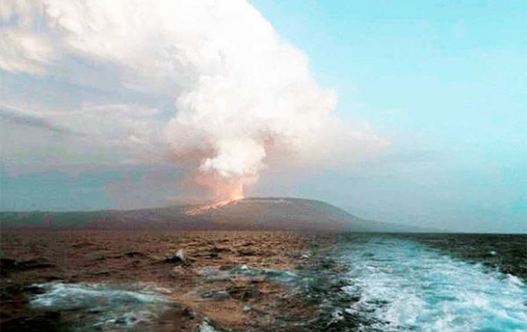 El volcán Wolf entró en erupción por última vez en 2015