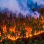 En Uruguay, los primeros días de 2022 ya estuvieron marcados por aterradoras imágenes de incendios en diferentes regiones.