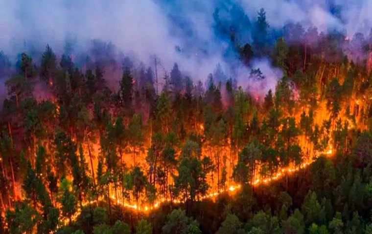 En Uruguay, los primeros días de 2022 ya estuvieron marcados por aterradoras imágenes de incendios en diferentes regiones.