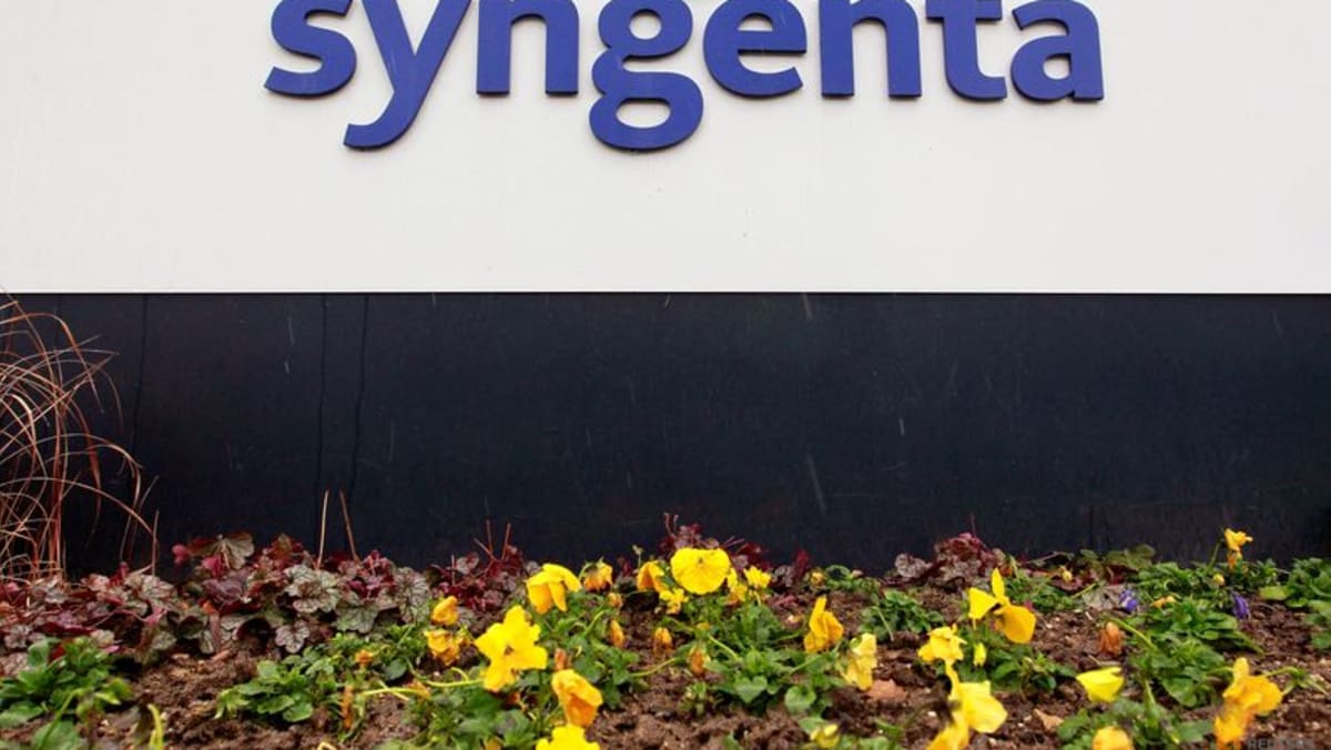 Syngenta, de propiedad china, apela el veto de Italia al acuerdo con el productor de semillas: fuentes