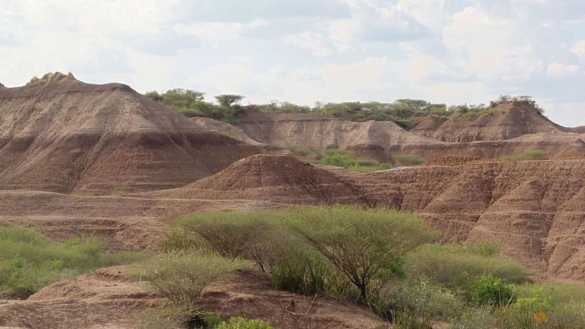 Una fecha más antigua para los fósiles etíopes arroja luz sobre el surgimiento del Homo sapiens