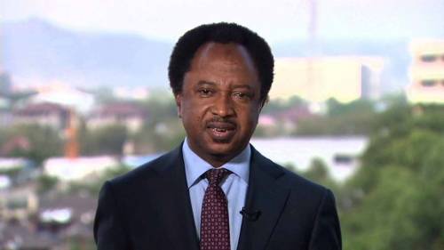 Algunas aldeas del norte están ganando la guerra contra los terroristas atacando y aplastando a sus informantes: Shehu Sani