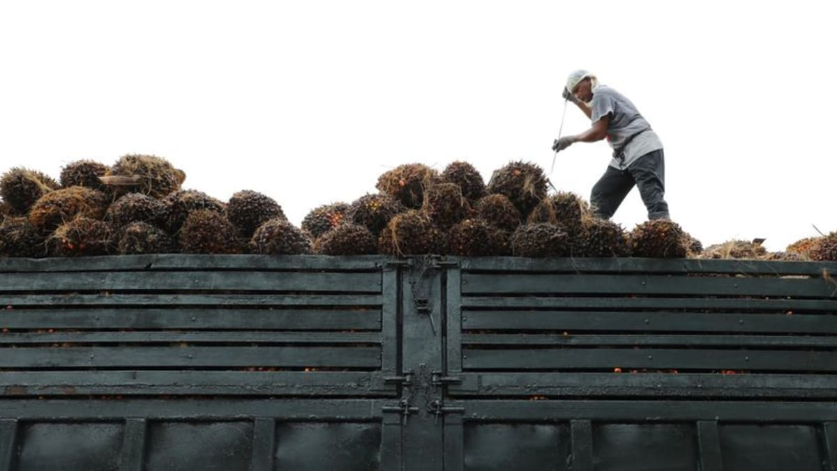 Malasia mantiene el arancel de exportación de aceite de palma crudo de marzo en 8 por ciento