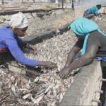 Sobrepesca en Senegal: los arrastreros chinos dejan a los pescadores locales con las redes vacías