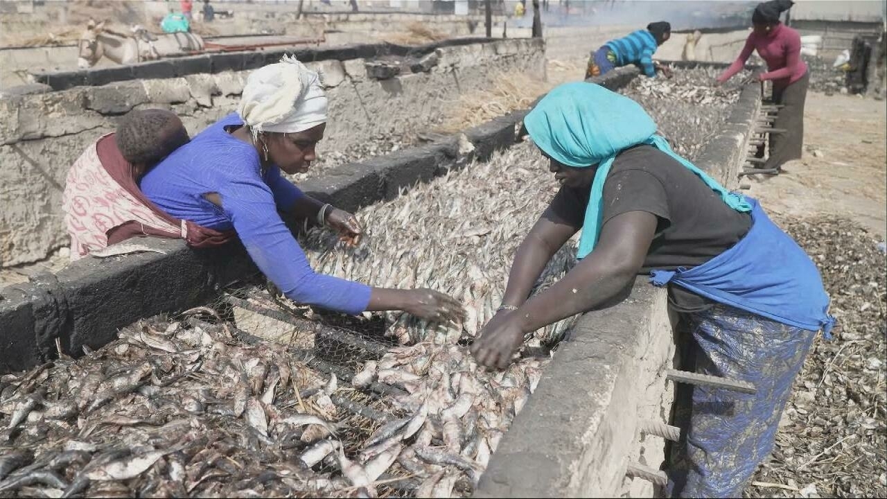 Sobrepesca en Senegal: los arrastreros chinos dejan a los pescadores locales con las redes vacías