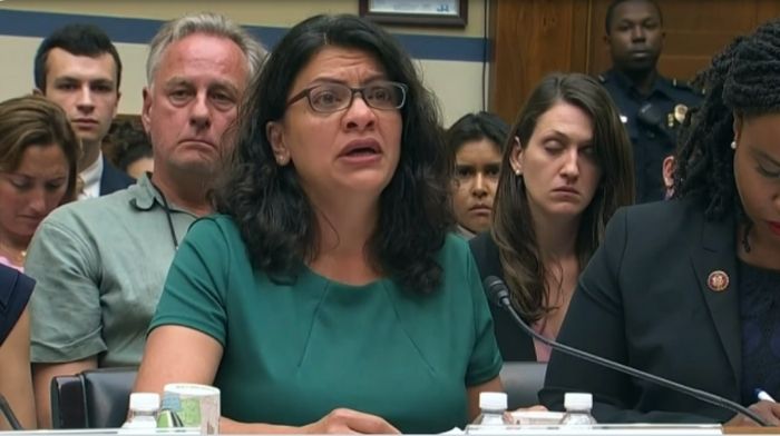 Algunos demócratas están furiosos porque Rashida Tlaib, miembro del 'escuadrón' de extrema izquierda, está dando una 'respuesta progresista' a Biden SOTU