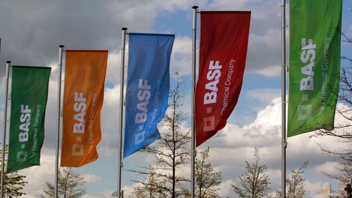 BASF elige una ciudad canadiense para la instalación de materiales para baterías de vehículos eléctricos