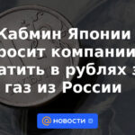El Gabinete de Ministros de Japón pedirá a las empresas que no paguen en rublos el gas procedente de Rusia