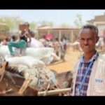 Etiopía declara la tregua de Tigray para el acceso de la ayuda humanitaria