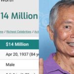 Los conservadores critican al actor de 'Star Wars' George Takei por decirles a los estadounidenses que 'soporten' precios más altos de alimentos y gasolina para dañar a Putin