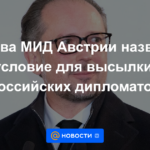 El ministro de Relaciones Exteriores de Austria llamó a la condición para la expulsión de los diplomáticos rusos