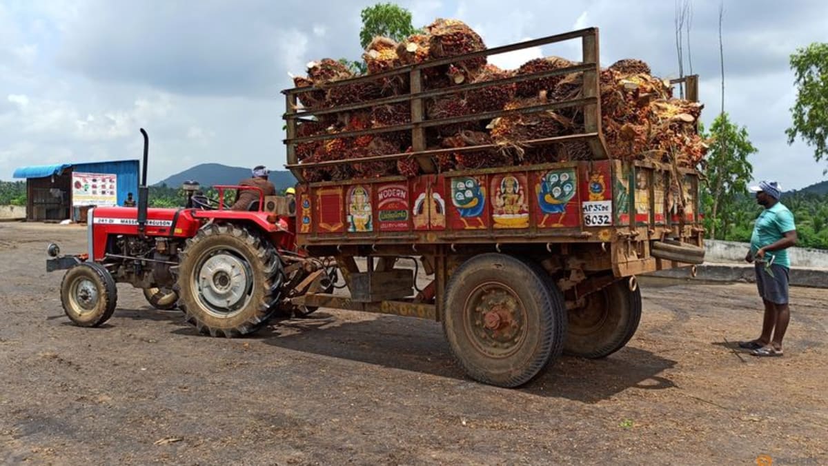 Las importaciones de aceite de palma de la India en mayo van por buen camino a pesar de las restricciones de Indonesia: comercio