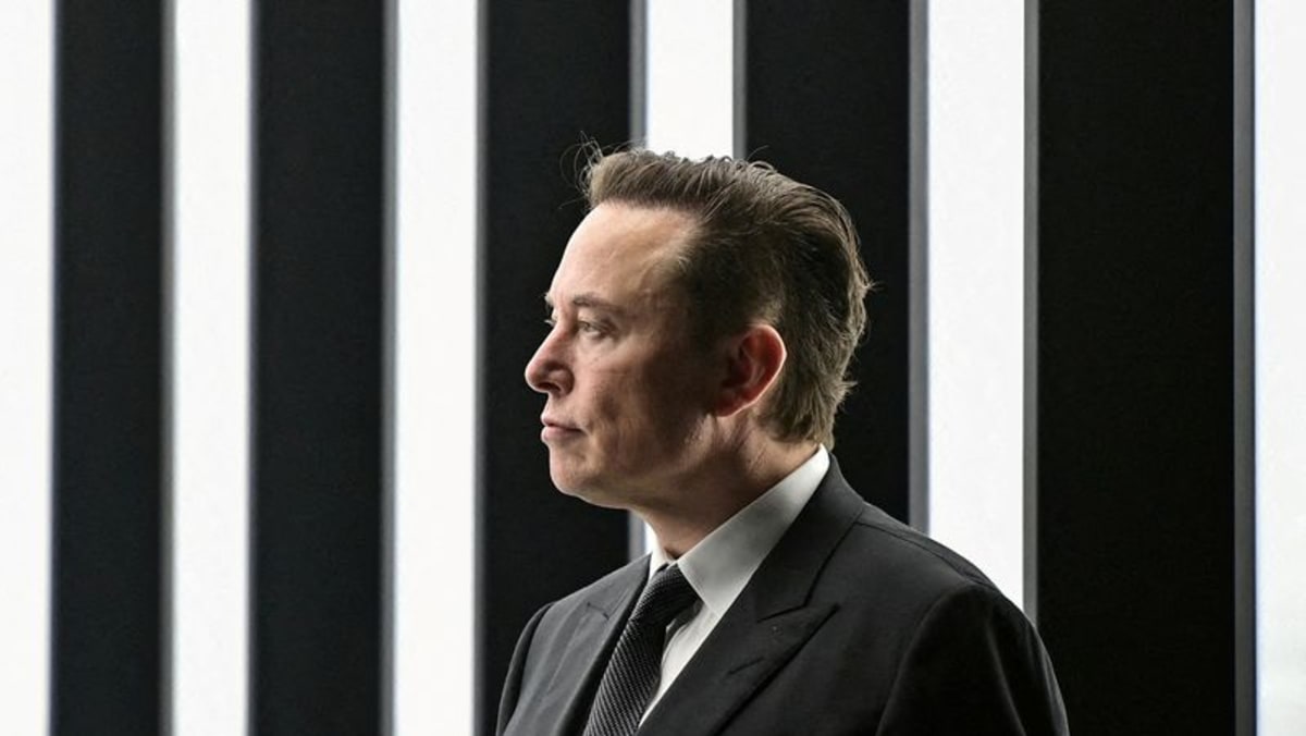 Las operaciones de opciones de Twitter antes de la divulgación de Musk levantan las cejas de los analistas