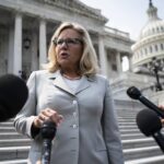 Liz Cheney niega haber grabado a Kevin McCarthy discutiendo la renuncia de Trump después del 6 de enero