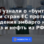 Los medios conocieron la "rebelión" de los cinco países de la UE contra el embargo de gas y petróleo de la Federación Rusa