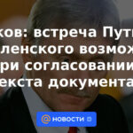 Peskov: la reunión entre Putin y Zelensky es posible si se acuerda el "texto del documento"