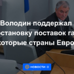 Volodin apoyó la suspensión del suministro de gas a algunos países europeos