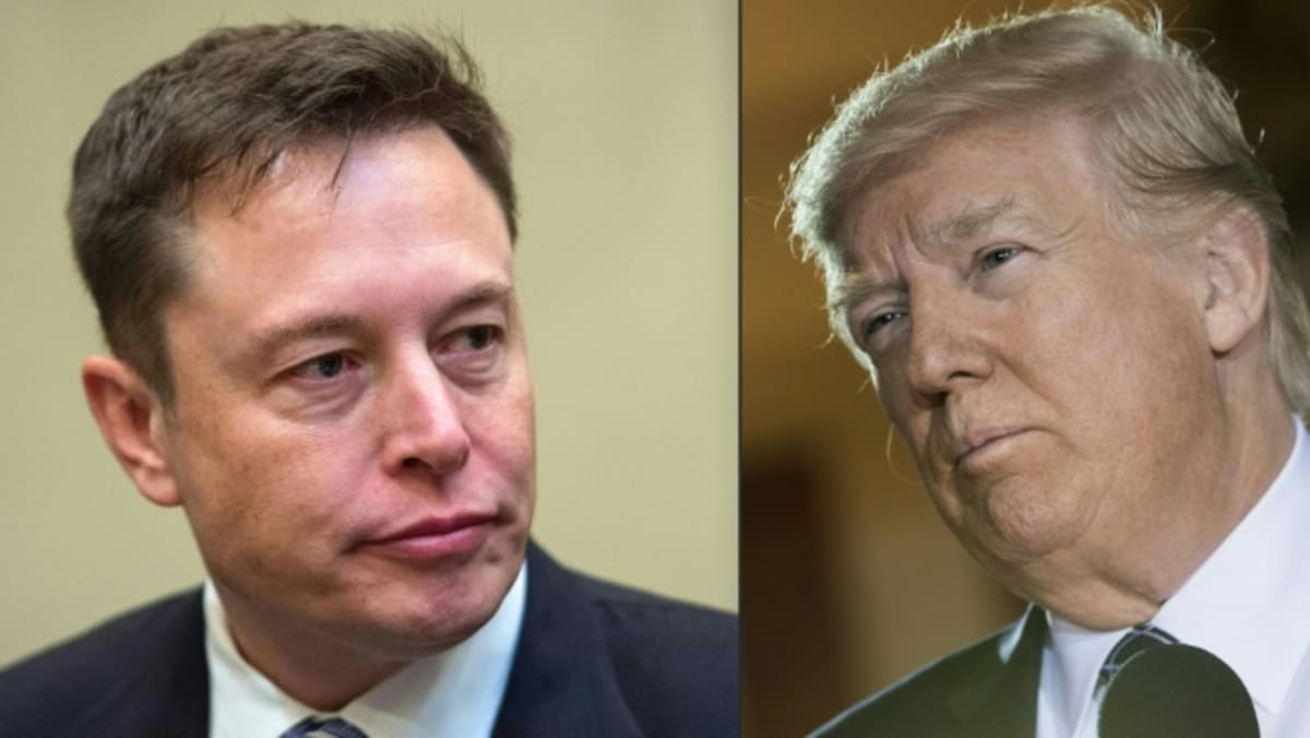 ¿Podría un Twitter propiedad de Musk abrir la puerta a un posible regreso de Trump?