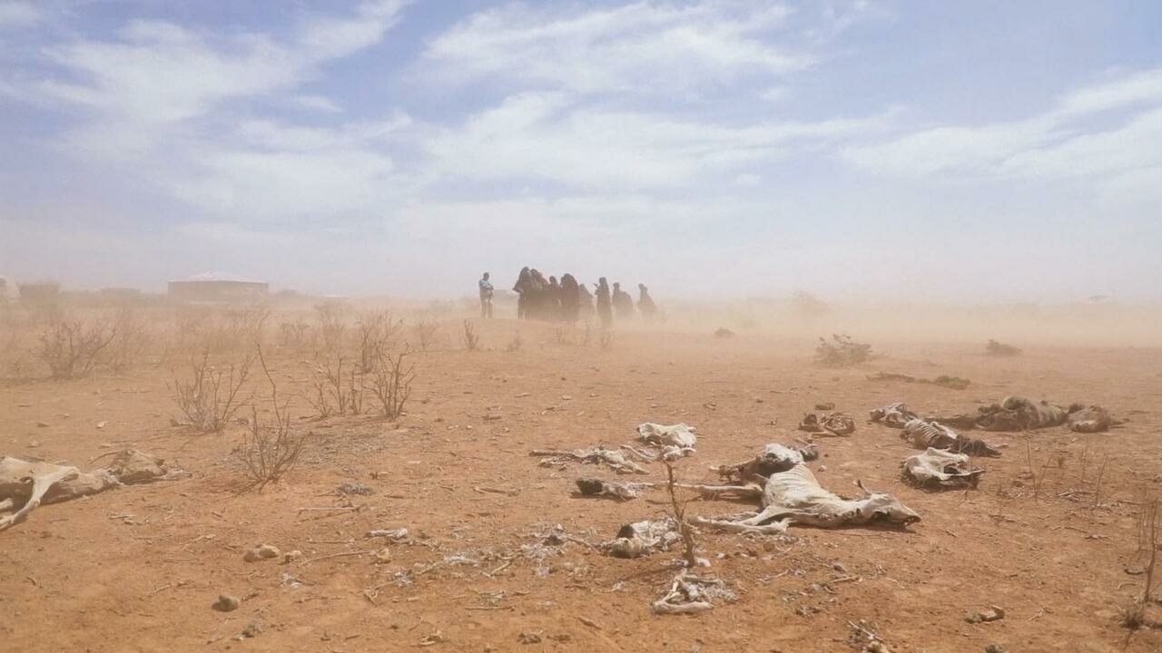 Conferencia COP15 sobre desertificación no logra acuerdo sobre protocolo vinculante