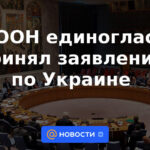 El Consejo de Seguridad de la ONU adoptó por unanimidad una declaración sobre Ucrania