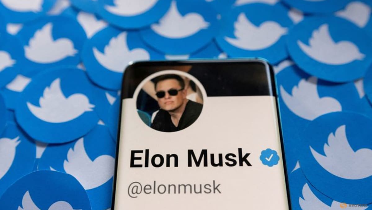 Elon Musk planea volver a hacer público Twitter más tarde - WSJ