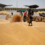 Explicación: lo que significa el cambio de sentido de la India en las exportaciones de trigo para los mercados mundiales