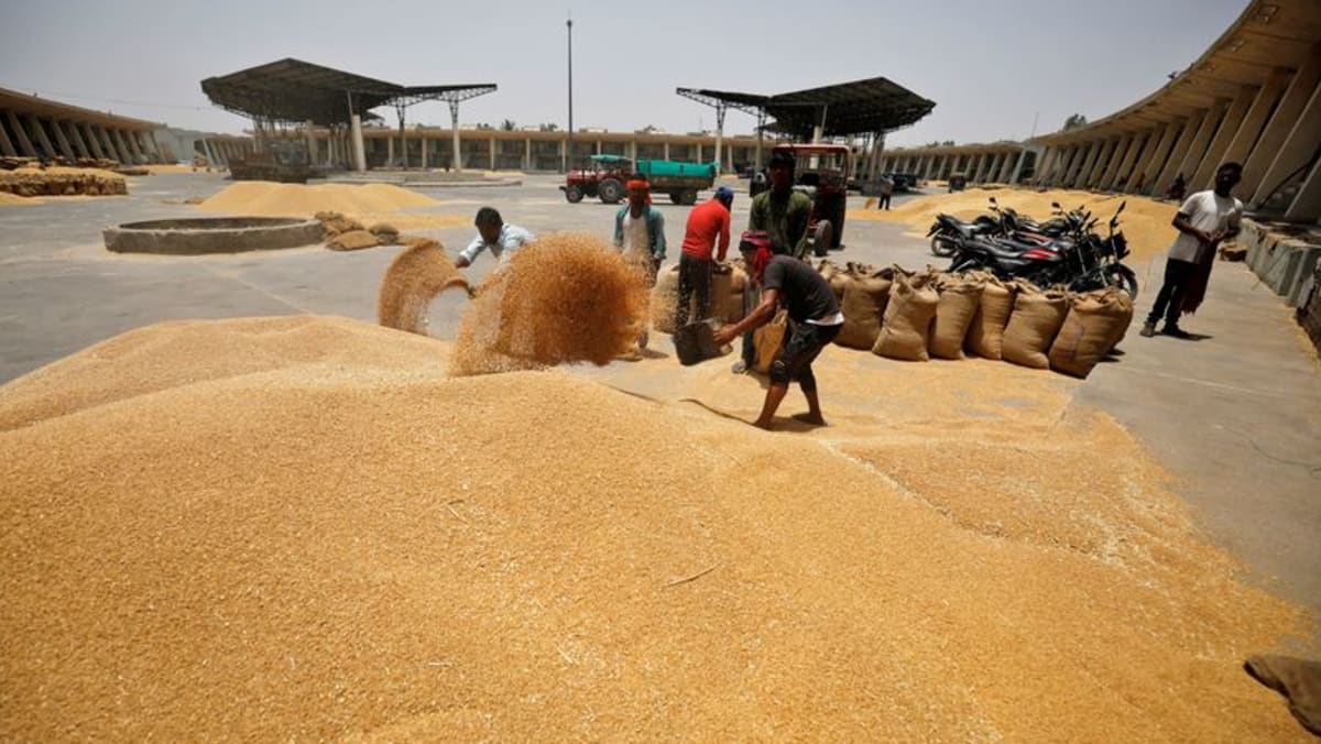 Explicación: lo que significa el cambio de sentido de la India en las exportaciones de trigo para los mercados mundiales