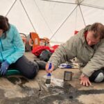 Fósil de ictiosaurio preñado e intacto recuperado del glaciar patagónico en Chile