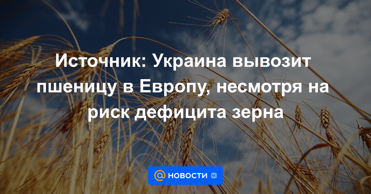 Fuente: Ucrania exporta trigo a Europa, a pesar del riesgo de escasez de cereales