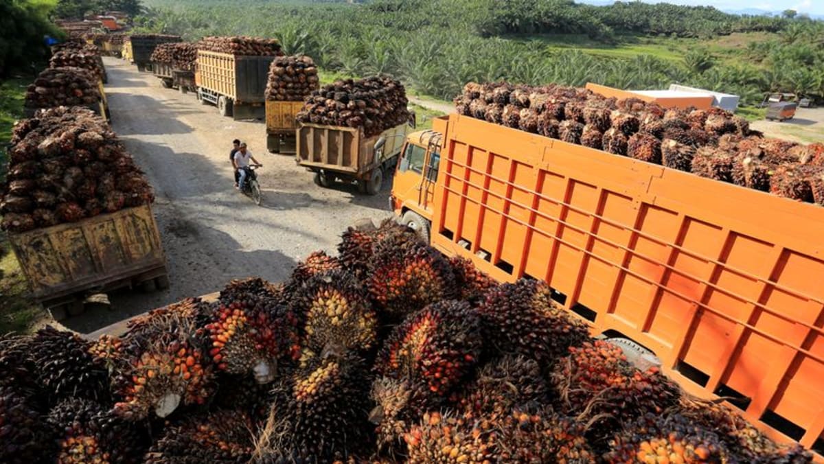 Indonesia pretende emitir los primeros permisos de exportación de aceite de palma desde la prohibición
