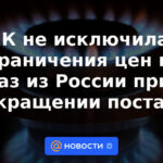 La CE no descartó restringir los precios del gas procedente de Rusia en caso de cese de suministro