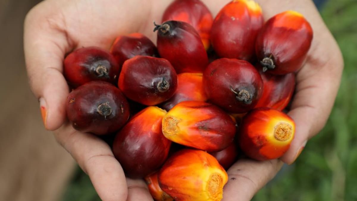 Las reservas de aceite de palma de Malasia aumentaron a fines de abril después de cinco meses de caídas