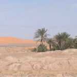 Los oasis de Marruecos amenazados por la desertificación